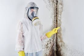 Best Mold Removal for HVAC Installations  in Beaufort, NC